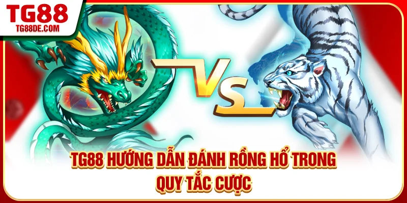 TG88 hướng dẫn đánh Rồng Hổ trong quy tắc cược